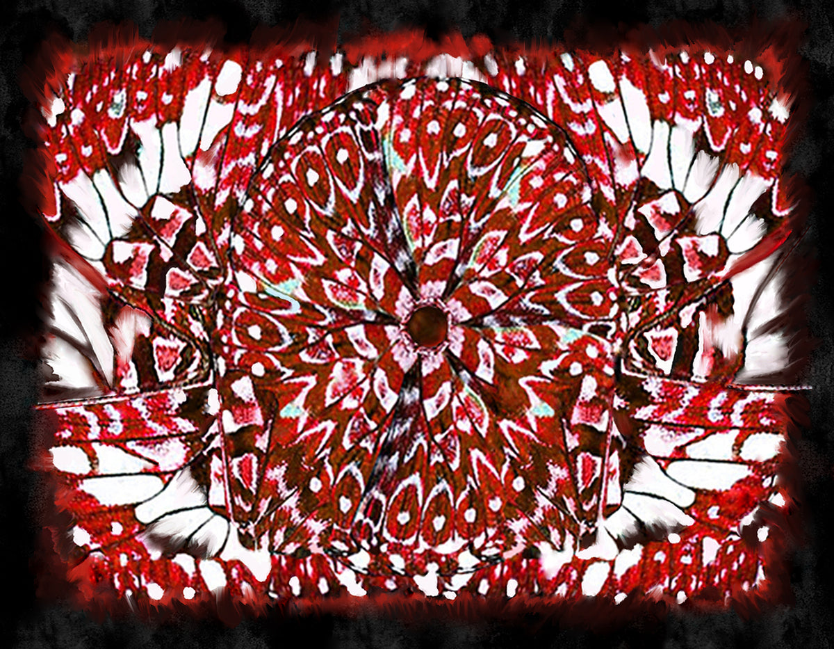 Giclee Poster Satin Photo Paper Print