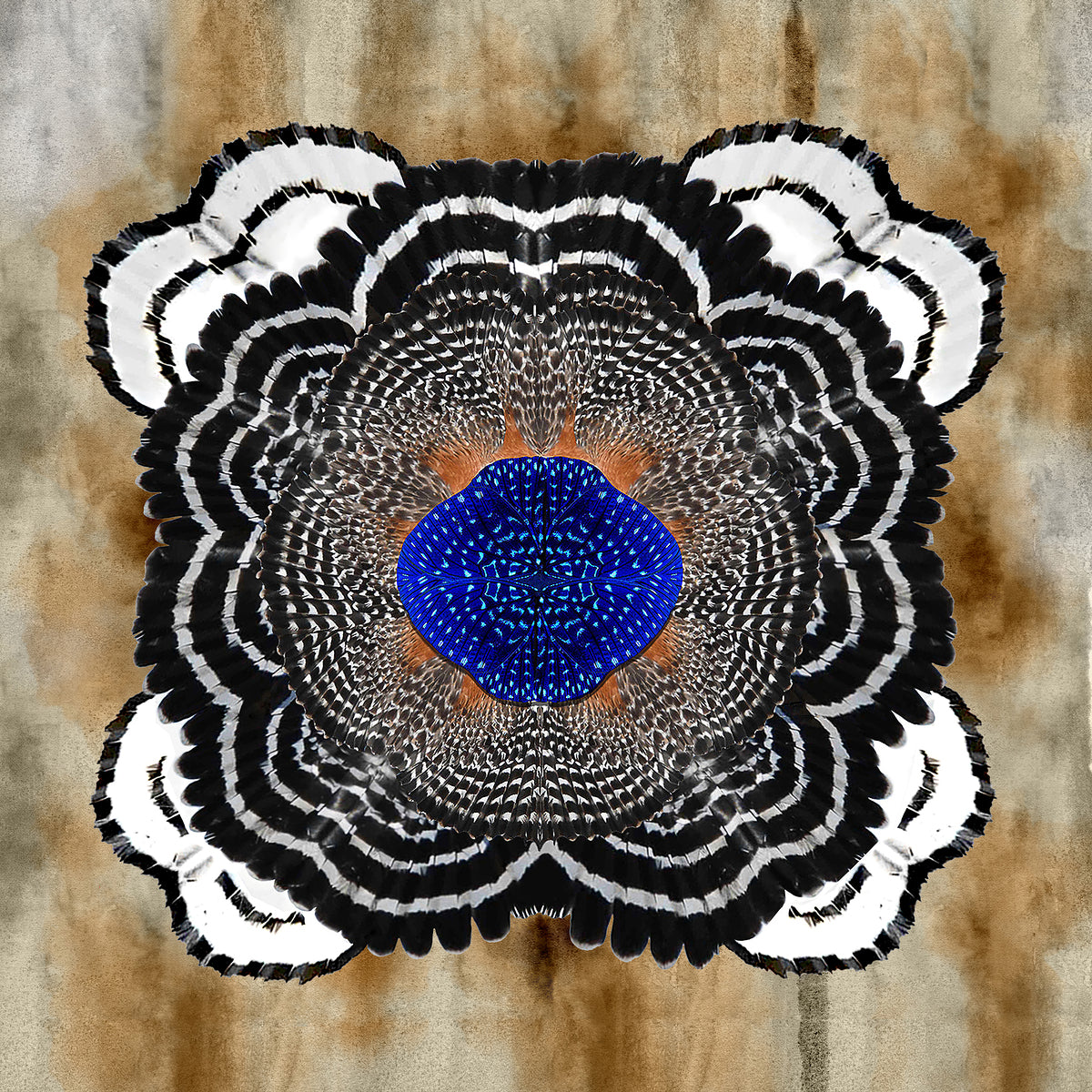 Giclee Rolled Canvas Print